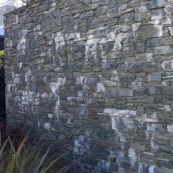 Efflorescence on Stone in Kenya: Why White Salt Patches Appear After Rain